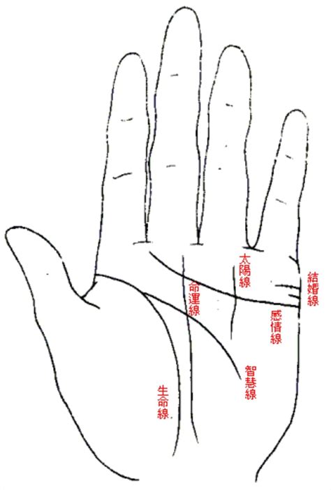 天陽玄機|手相掌紋深粗代表什麼